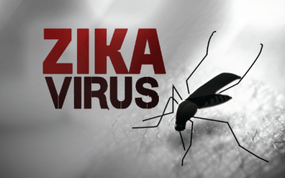 Efficace contro lo Zika Virus