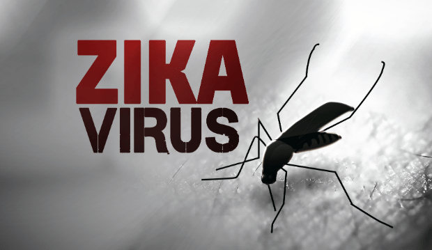 Efficace contro lo Zika Virus