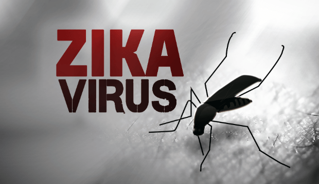 zika virus